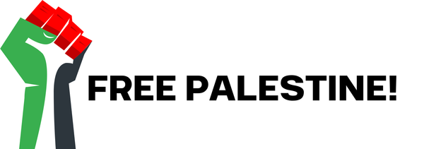 Introducing Gaza Mutual Aid